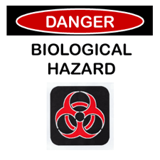 blood from a cut on a hand