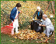 Raking leaves