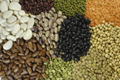 Legumes