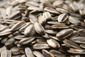 Sunflower seeds